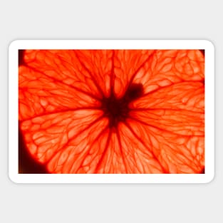 Red Abstract Fruit Sticker